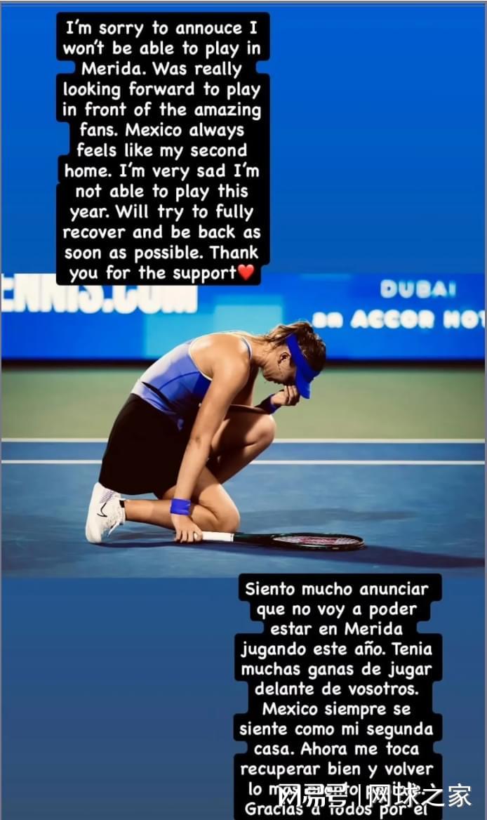 开云体育平台-三金花出战迈阿密郑钦文压力最大,迪拜退赛潮波及梅里达多人退赛